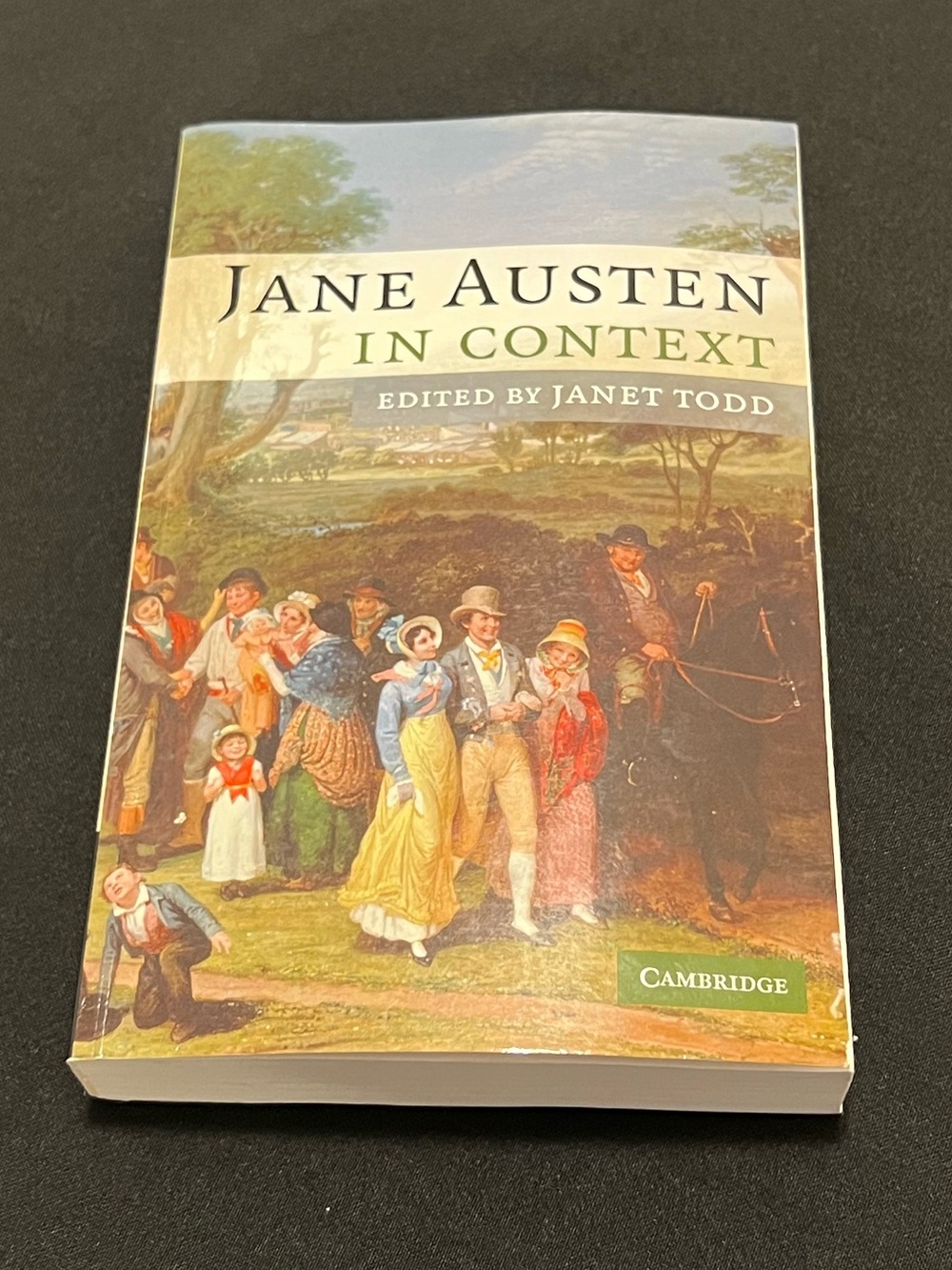 Jane Austen in Context Cambridge Edition Janet Todd Hardcover Literary Criticism